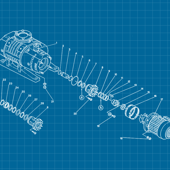 Leybold WA / WAU 251 - SERVICE