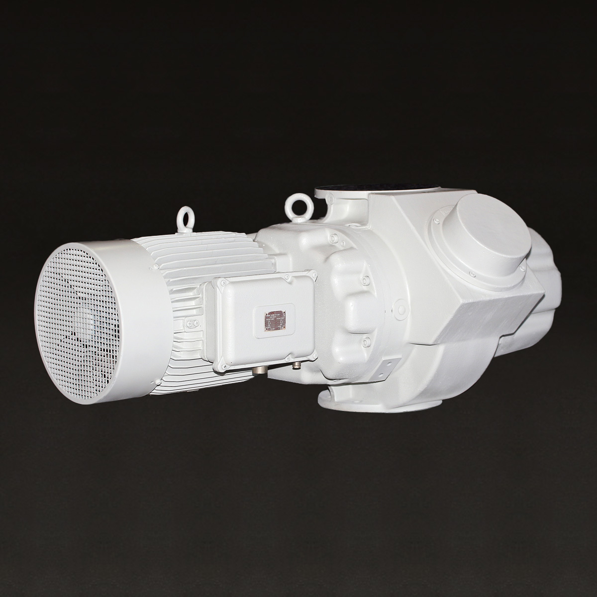 Leybold RUVAC WS / WSU 2001 - REBUILT