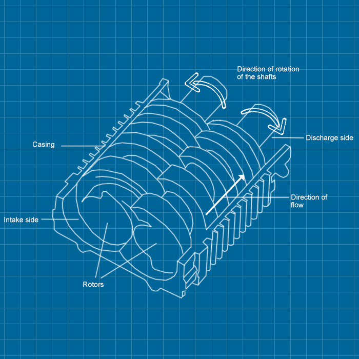 Leybold SP 630 - SERVICE