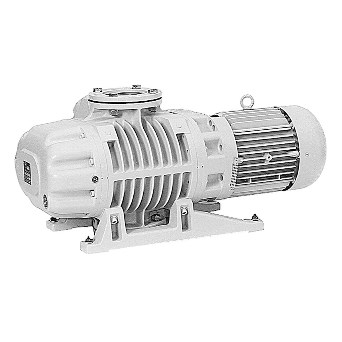 Leybold RUVAC WS / WSU 501 - NEW