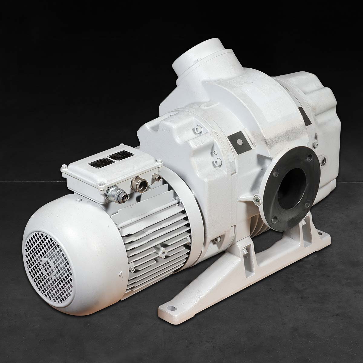 Leybold RUVAC WSU 1001 - REBUILT